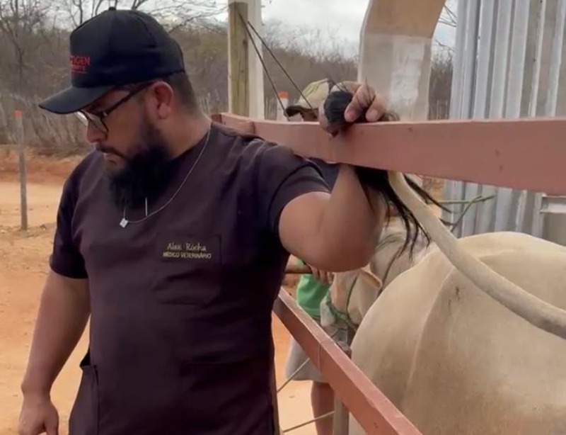 Programa de insemina��o artificial fortalece setor pecu�rio e impulsiona o desenvolvimento rural em S�o Jos� do Sabugi